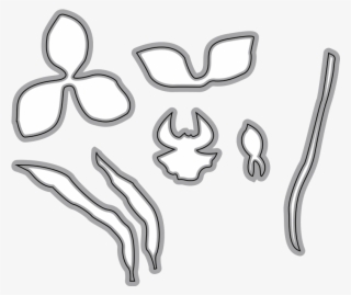 Cymbidium Orchid 1 Garden Notes - Orchids #5152515