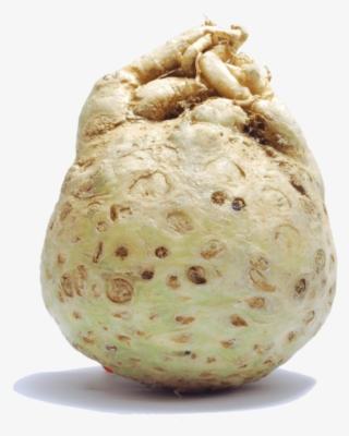 Celeriac - Cherimoya #5154112