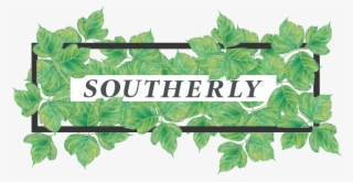 Ecology Justice Culture In The American South - Infrastructure #5154818