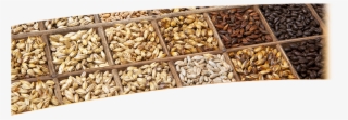 Superior Malts & Ingredients For The Food And Brewing - Brew Malt #5155099