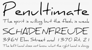 Daniel Font Phrases - Daniel Font #5155619