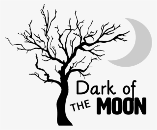 Tree Without Leaves Drawing #5156154