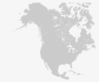 North America - North America Continent #5156542