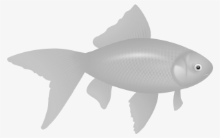 Download - Goldfish Silhouette Shower Curtain #5156798