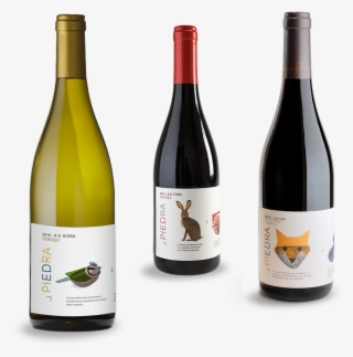 Our Wines - Glass Bottle #5158476