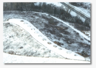 These Conical Mounds Are Part Of The Shadewald Mound - Marine Invertebrates #5158540
