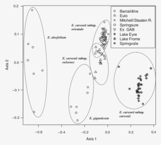 Nmds Ordination Of Morphometric Data Relating To Eriocaulon - Diagram #5158647