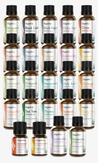 Click The Button Below To See If We Still Have Some - Organixx Essential Oil - Turmeric 15ml #5160051