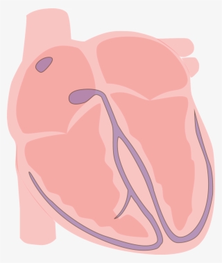 Heart Vector Electrical Rest - Heart Cartoon Electrical #5160789