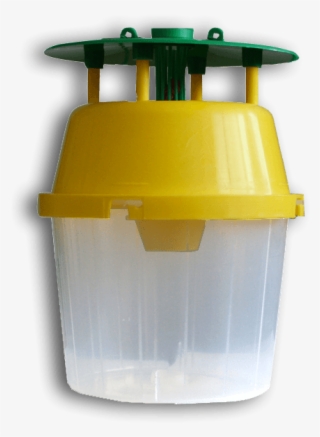 Funnel Trap #5162602