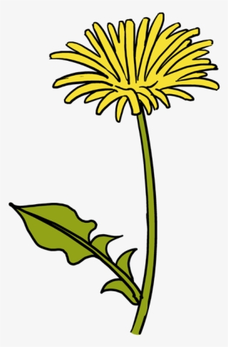 Drawing Dandelion Easy Svg Black And White Library - Dandelion Drawing #5164755