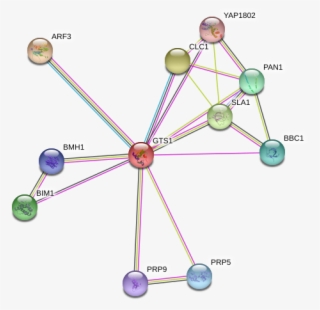 Network - Diagram #5164760