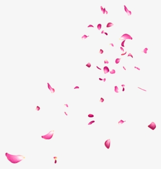 Falling Rose Petals Png Picture - Flower Images Editing - Free ...