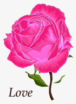 Digital Arts ©2017 By Hayley Nunn - Drawing #5168060