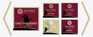 Member Loyalty - Florida State University Alumni Association #5169220