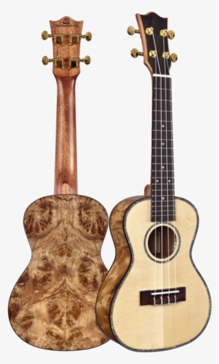 Snail Camphor Burl Ukulele - Burl Wood Ukulele #5171183
