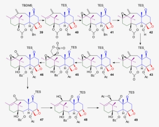 Open - Taxol Synthesis #5173190