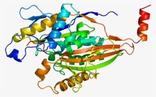 Protein Kif5c Pdb 2kin - Kif5c #5173947