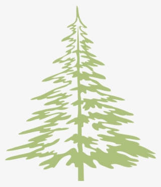 West Slope Library Green Tree - West Slope #5174605