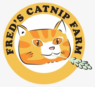 Escuela De Historia Usac #5175694