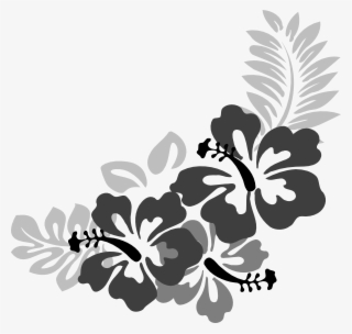 Hibiscus Black And White #5176052