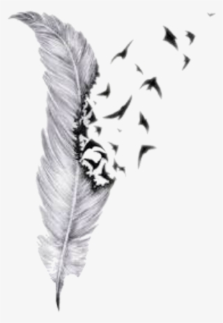Plumas Png Tumblr - Feather Drawings With Birds #5176054