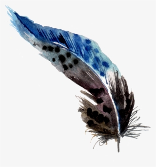 Punto Negro Plumas Png Elemento Png - Feather #5176108