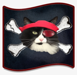 Catnip & Dog Biscuits - Pirate Tales By Richard Stephens 9781482343908 (paperback) #5176359 Catnip & Dog Biscuits - Pirate Tales By Richard Stephens 9781482343908 (paperback) #5176359