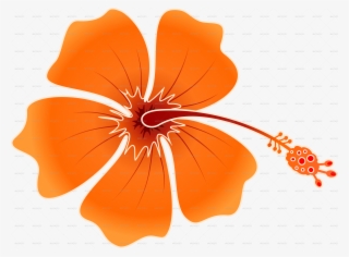 Png Hibiscus Flowers Patterns Picture Free Library - Orange Hawaiian Flower Png #5176364