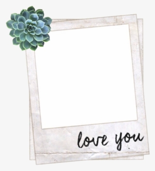 Frame Aesthetic Tumblr Polyvore Succulent - Overlays For Edits #5176601