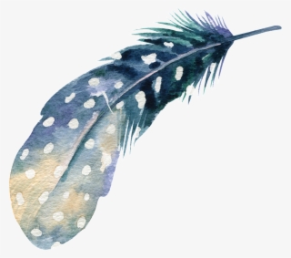 Png De Ornamentação Transparente Para As Plumas De - Elegant Background Full Colour #5176916