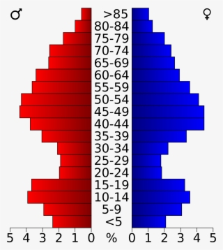 Open - Population Pyramid Of Palm Beach County #5176972