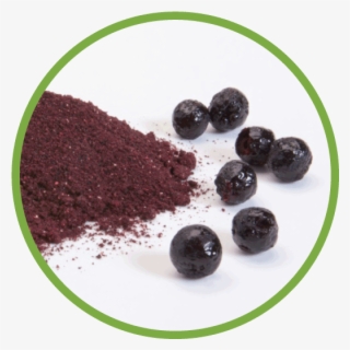 Aronia - Aronia Powder #5177081