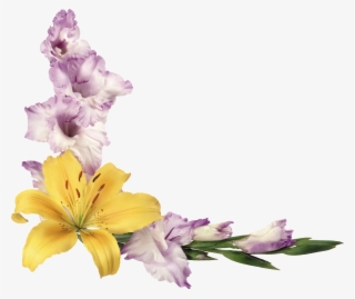 Fondos Flores Png Imagui - Birthday Card With Floral Sprays Card #5177671