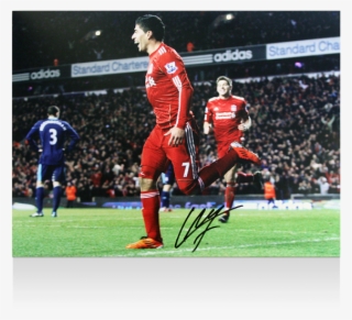 Luis Suarez Liverpool #5177778