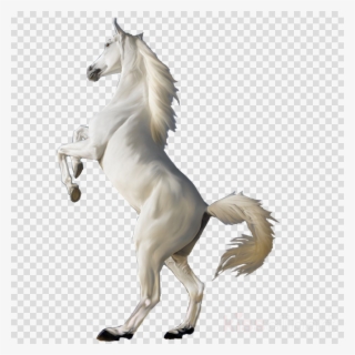Transparent Horse Png Clipart Horse - White Horse Png #5178170 Transparent Horse Png Clipart Horse - White Horse Png #5178170
