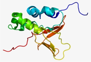 Protein Tgfbi Pdb 1x3b - Tgfbi #5178709