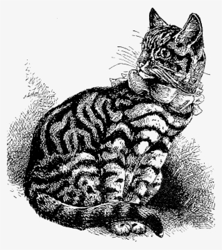 2155 Cat Free Vintage Clip Art #5179559