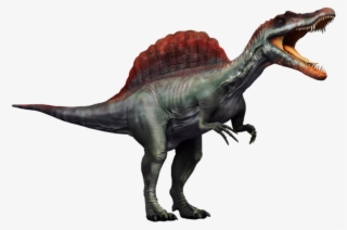 Spinosaurus Png Transparent Picture - Spinosaurus Dinosaur Transparent Background #5180167