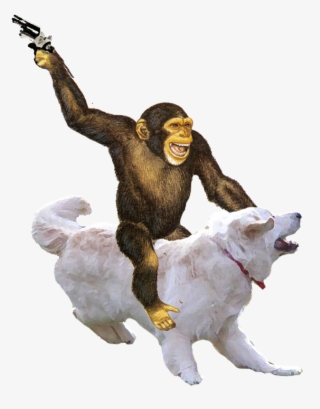 Money Riding Dog With Gun - Chimpanzee Clip Art #5180594