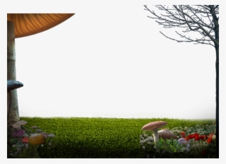 Fg 01 - Grass #5181085