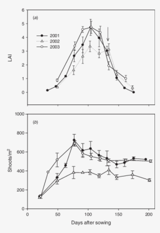 The Course Of Leaf Area Index (lai) Of Wheat And (b) - Mean #5184879