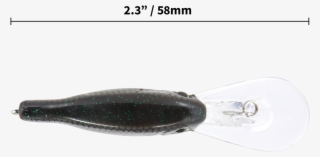 Series - Tournament - Cuttlefish #5187406