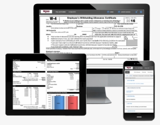 Payroll Admin - Strovis Payroll #5188620