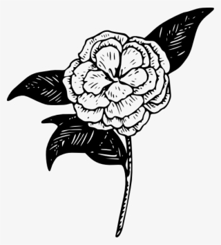 Png Royalty Free Library Confusing Drawing Purity - Camellia Flower Clip Art #5189505