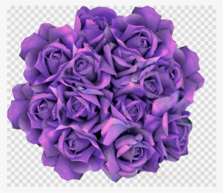 Clip Art Clipart Garden Roses Flower Clip Art - Purple Roses Drawings Transparent #5189510