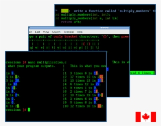 Instant Feedback - Software Inc. #5190254