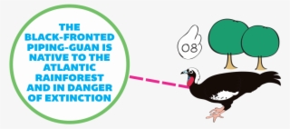 At "how We Save Species" Area, You Meet Some Bird Species - Turkey #5190524