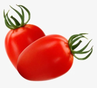 Pera Tomato - Tomate Pera Png #5191506