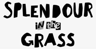 Northern Rivers Screenworks Inc - Splendour In The Grass Logo #5192289